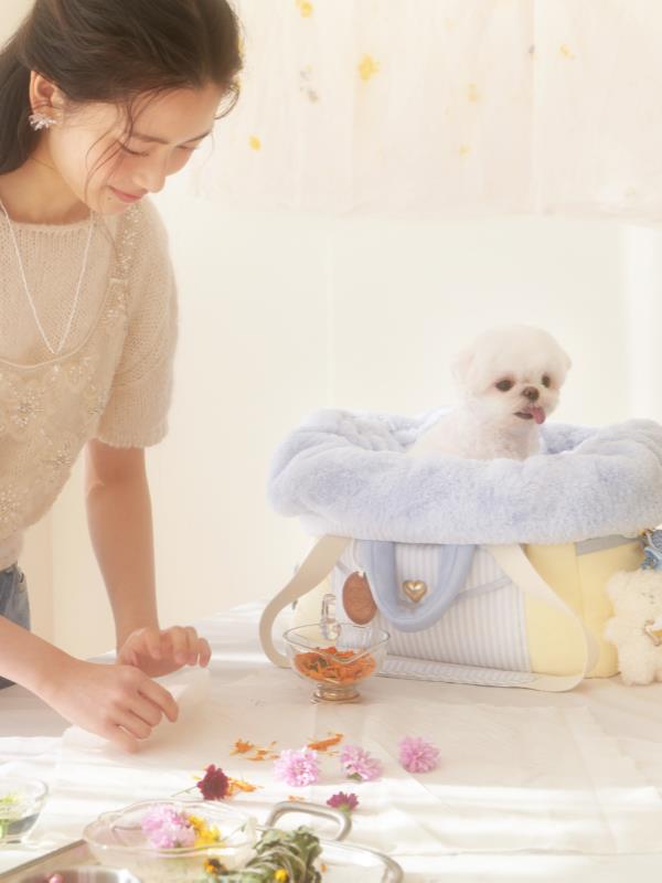 Letter bag set (yellow blue)