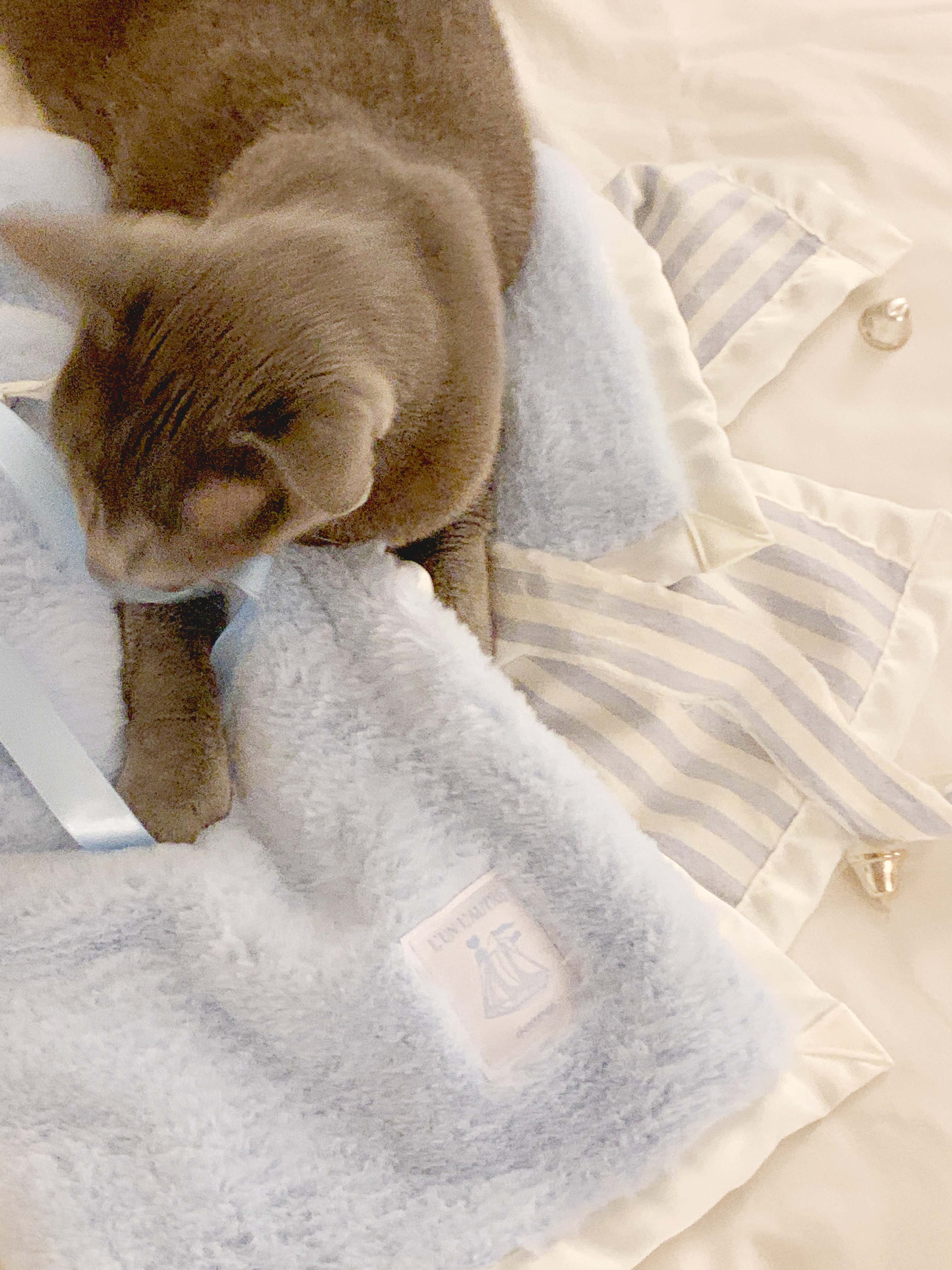 Blanket – Seoru Japan